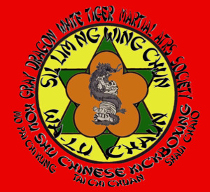 Wing Chun Classes In Hendersonville